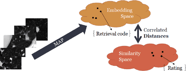 Figure 1 for Semi-supervised lung nodule retrieval