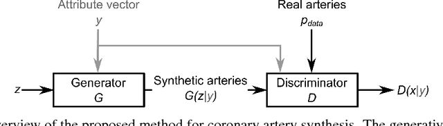 Figure 1 for Blood Vessel Geometry Synthesis using Generative Adversarial Networks