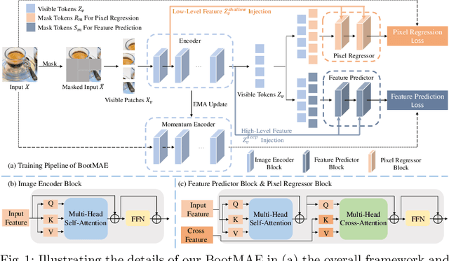 Figure 1 for Bootstrapped Masked Autoencoders for Vision BERT Pretraining