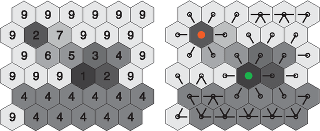 Figure 4 for The steepest watershed: from graphs to images