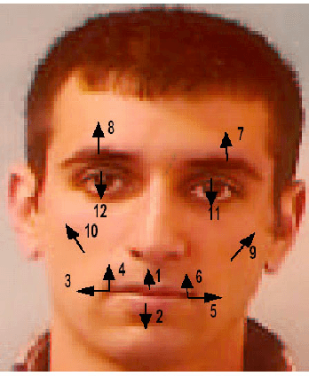 Figure 3 for Neural Networks for Emotion Classification