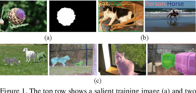 Figure 1 for Weakly-supervised Instance Segmentation via Class-agnostic Learning with Salient Images