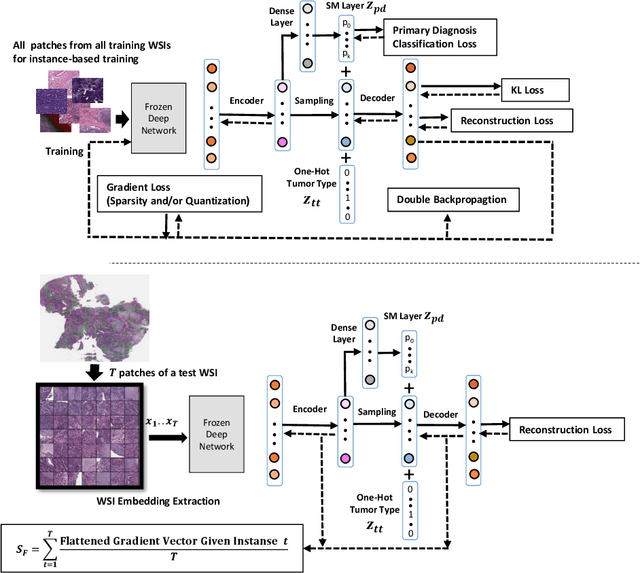 Figure 1 for Learning Binary and Sparse Permutation-Invariant Representations for Fast and Memory Efficient Whole Slide Image Search