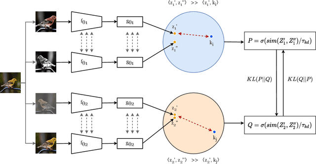 Figure 3 for Distill on the Go: Online knowledge distillation in self-supervised learning