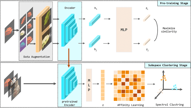 Figure 1 for Self-Supervised Deep Subspace Clustering with Entropy-norm