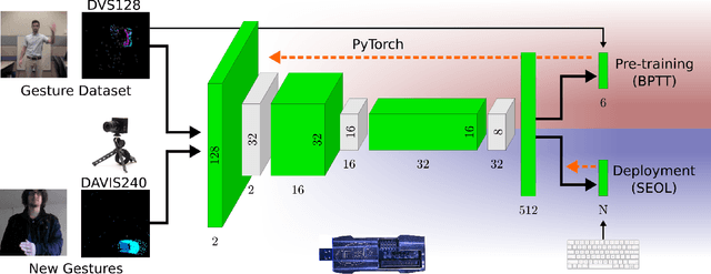 Figure 3 for Online Few-shot Gesture Learning on a Neuromorphic Processor