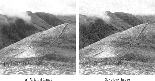 Figure 2 for The structure of optimal parameters for image restoration problems