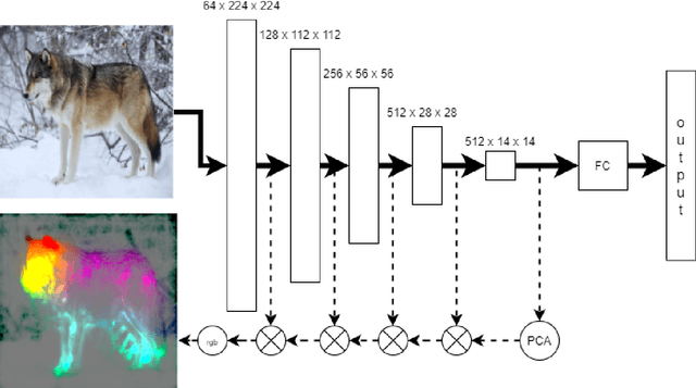Figure 1 for TorchPRISM: Principal Image Sections Mapping, a novel method for Convolutional Neural Network features visualization