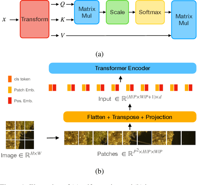 Figure 1 for Vision Transformers: State of the Art and Research Challenges