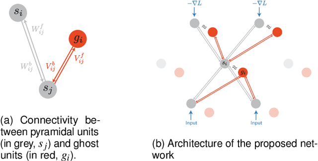 Figure 1 for Ghost Units Yield Biologically Plausible Backprop in Deep Neural Networks