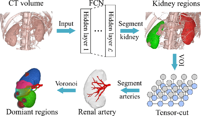 Figure 1 for Precise Estimation of Renal Vascular Dominant Regions Using Spatially Aware Fully Convolutional Networks, Tensor-Cut and Voronoi Diagrams