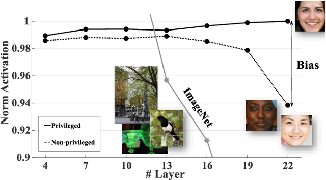 Figure 1 for InsideBias: Measuring Bias in Deep Networks and Application to Face Gender Biometrics