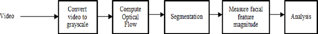 Figure 4 for The Analysis of Facial Feature Deformation using Optical Flow Algorithm