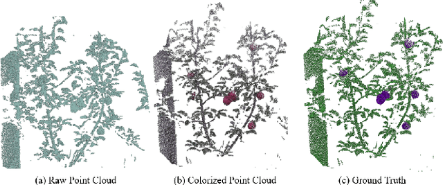 Figure 4 for Semantic Segmentation of Fruits on Multi-sensor Fused Data in Natural Orchards