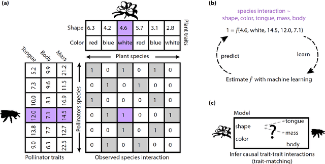 Figure 1 for Machine learning algorithms to infer trait matching and predict species interactions in ecological networks