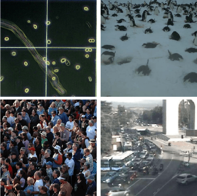 Figure 1 for People, Penguins and Petri Dishes: Adapting Object Counting Models To New Visual Domains And Object Types Without Forgetting