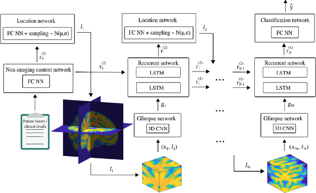 Figure 1 for NEURO-DRAM: a 3D recurrent visual attention model for interpretable neuroimaging classification