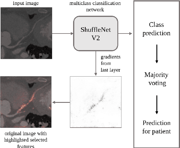 Figure 1 for CNN-CASS: CNN for Classification of Coronary Artery Stenosis Score in MPR Images