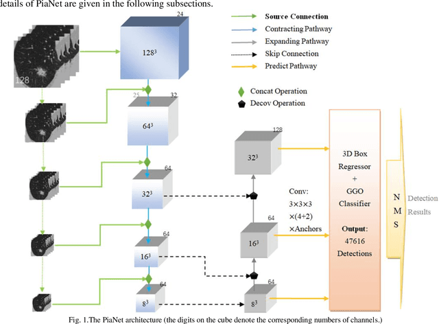 Figure 1 for PiaNet: A pyramid input augmented convolutional neural network for GGO detection in 3D lung CT scans