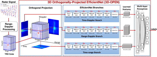 Figure 1 for Human Activity Recognition Using 3D Orthogonally-projected EfficientNet on Radar Time-Range-Doppler Signature