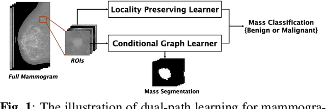 Figure 1 for A Deep DUAL-PATH Network for Improved Mammogram Image Processing