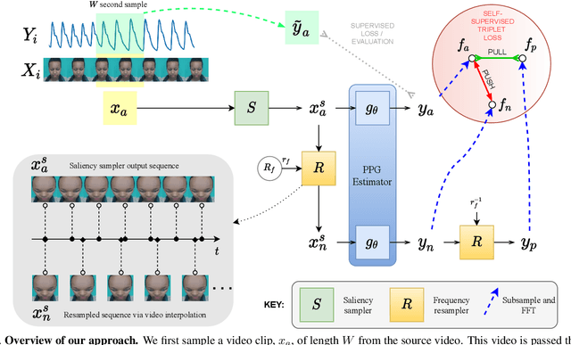 Figure 3 for The Way to my Heart is through Contrastive Learning: Remote Photoplethysmography from Unlabelled Video