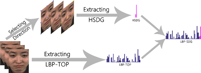 Figure 1 for A comparative study on movement feature in different directions for micro-expression recognition
