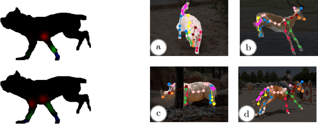 Figure 3 for Creatures great and SMAL: Recovering the shape and motion of animals from video