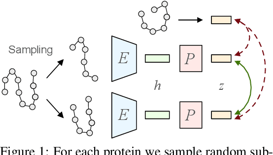 Figure 1 for Contrastive Representation Learning for 3D Protein Structures