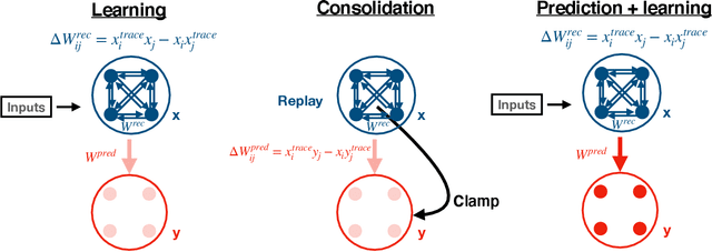 Figure 1 for Sequence Learning and Consolidation on Loihi using On-chip Plasticity
