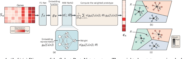 Figure 1 for Select-ProtoNet: Learning to Select for Few-Shot Disease Subtype Prediction