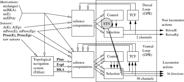 Figure 2 for Integration of navigation and action selection functionalities in a computational model of cortico-basal ganglia-thalamo-cortical loops