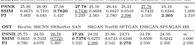 Figure 2 for Super Resolution Using Segmentation-Prior Self-Attention Generative Adversarial Network