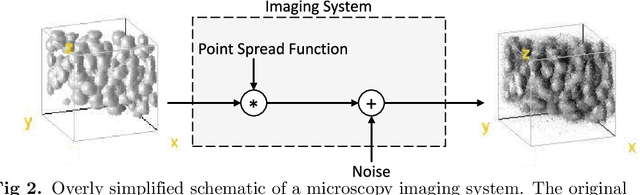 Figure 3 for 3D fluorescence microscopy data synthesis for segmentation and benchmarking