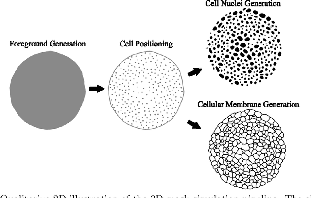 Figure 4 for 3D fluorescence microscopy data synthesis for segmentation and benchmarking