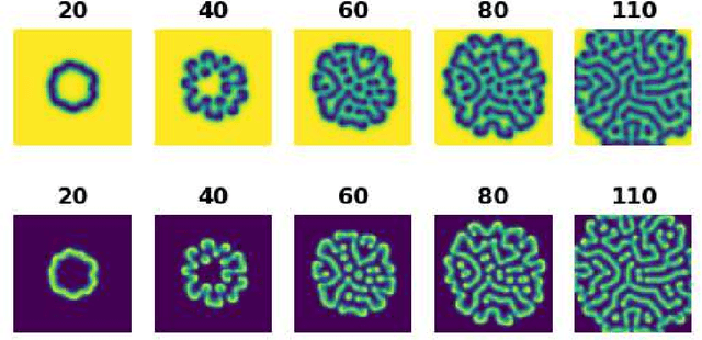 Figure 1 for Deep Adversarial Koopman Model for Reaction-Diffusion systems