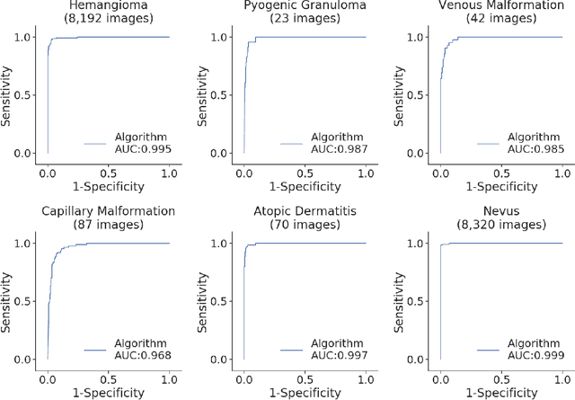 Figure 4 for Identifying Pediatric Vascular Anomalies With Deep Learning