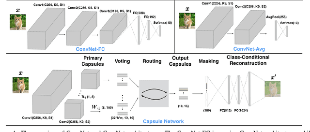 Figure 1 for Capsule Network is Not More Robust than Convolutional Network