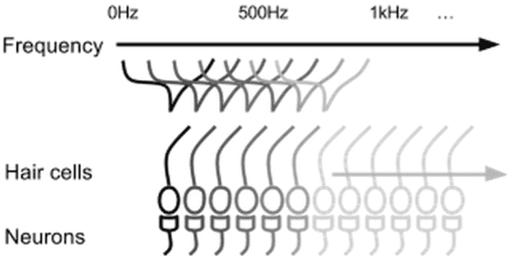 Figure 1 for Encoding Data for HTM Systems
