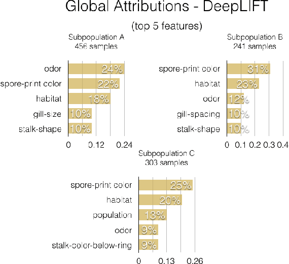 Figure 1 for Global Explanations of Neural Networks: Mapping the Landscape of Predictions