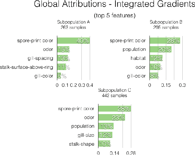 Figure 4 for Global Explanations of Neural Networks: Mapping the Landscape of Predictions