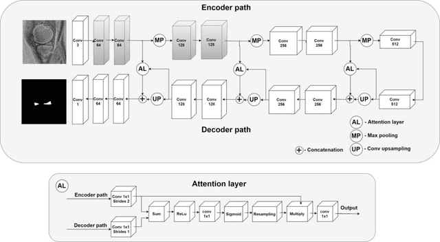 Figure 4 for Knee menisci segmentation and relaxometry of 3D ultrashort echo time (UTE) cones MR imaging using attention U-Net with transfer learning