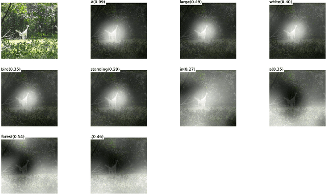 Figure 2 for Show, Attend and Tell: Neural Image Caption Generation with Visual Attention