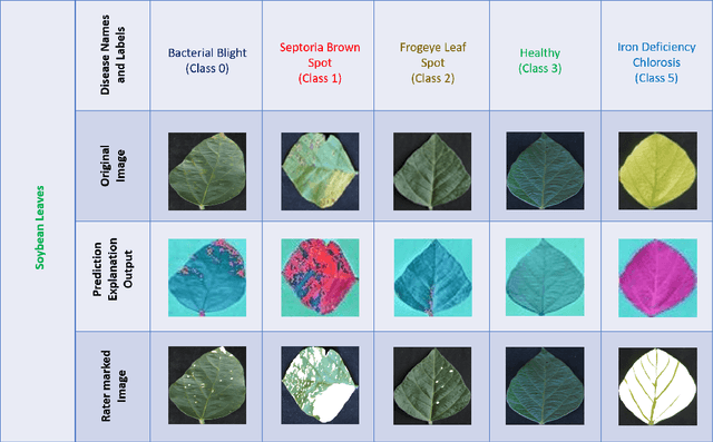 Figure 2 for Interpretable Deep Learning applied to Plant Stress Phenotyping