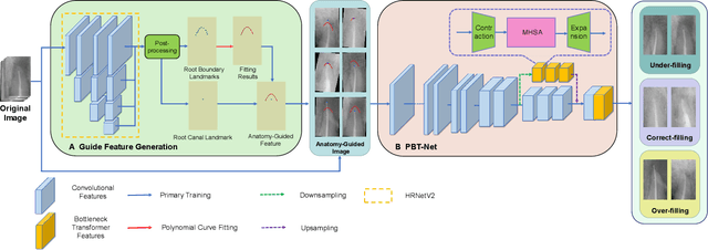 Figure 3 for Anatomy-Guided Parallel Bottleneck Transformer Network for Automated Evaluation of Root Canal Therapy