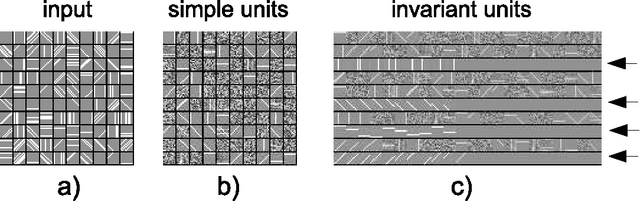 Figure 1 for Efficient Learning of Sparse Invariant Representations