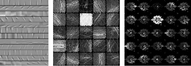 Figure 2 for Efficient Learning of Sparse Invariant Representations