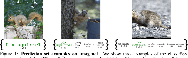 Figure 1 for Uncertainty Sets for Image Classifiers using Conformal Prediction