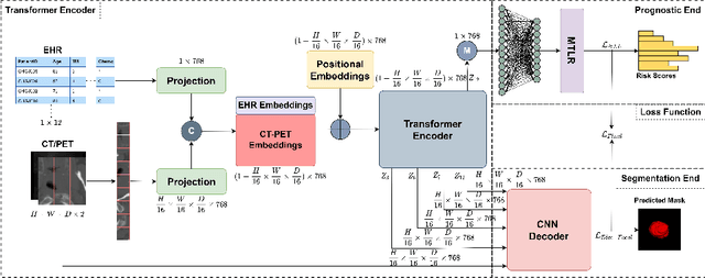Figure 1 for TMSS: An End-to-End Transformer-based Multimodal Network for Segmentation and Survival Prediction