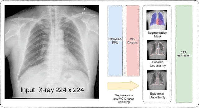 Figure 1 for Bayesian Feature Pyramid Networks for Automatic Multi-Label Segmentation of Chest X-rays and Assessment of Cardio-Thoratic Ratio